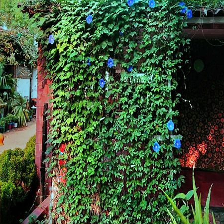 Panchobon Art Resort Shanti Niketan Exterior photo